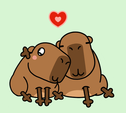 capybara gif